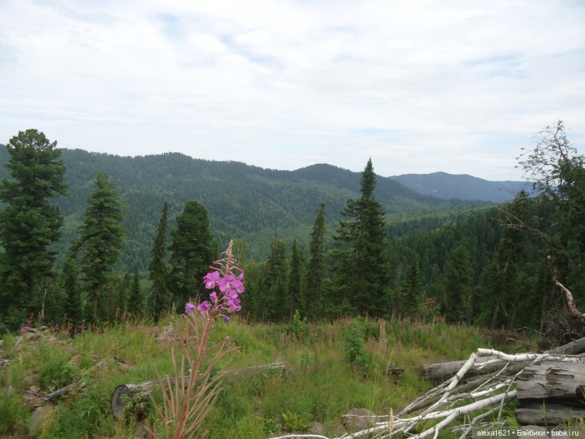 Моника Водопады Телецкого озера Горный Алтай