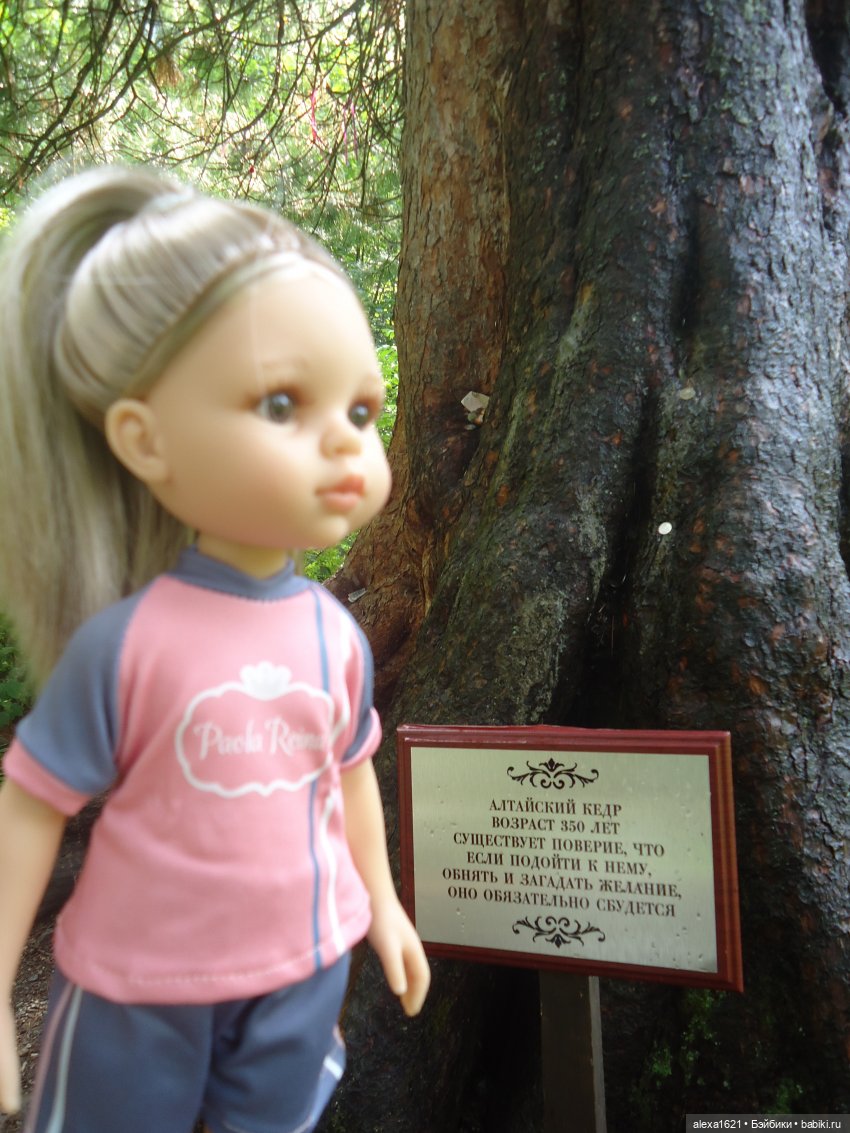 Моника Водопады Телецкого озера Горный Алтай (фото 5)