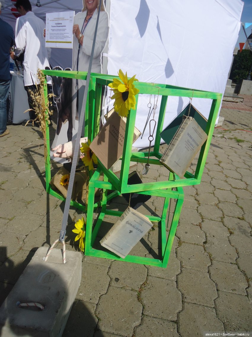 Вика в Томске - ярмарка, Инженерный дворик и Ботанический сад (фото 3)