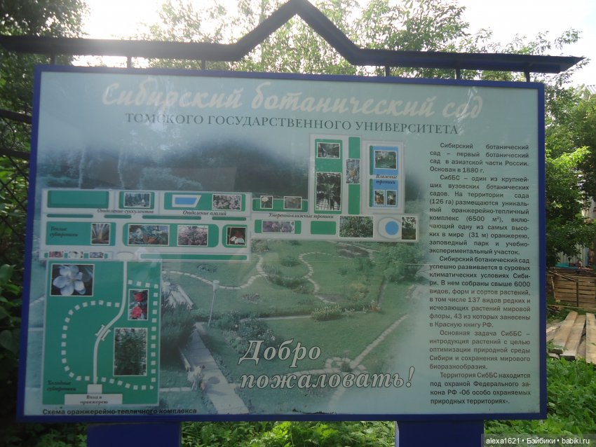 Вика в Томске - ярмарка, Инженерный дворик и Ботанический сад