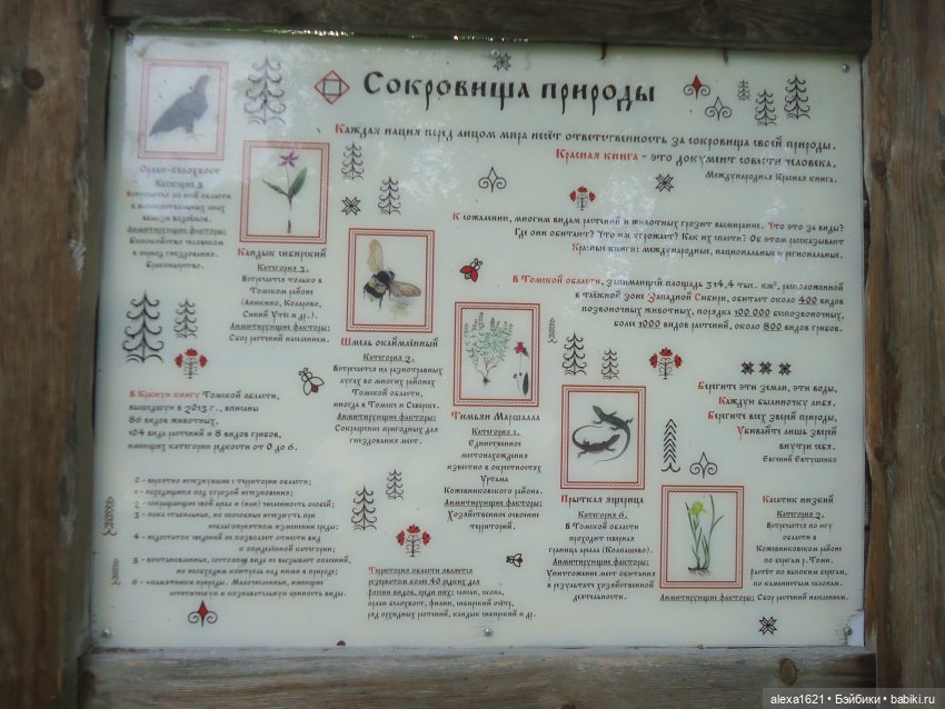 Вика в Томске - ярмарка, Инженерный дворик и Ботанический сад