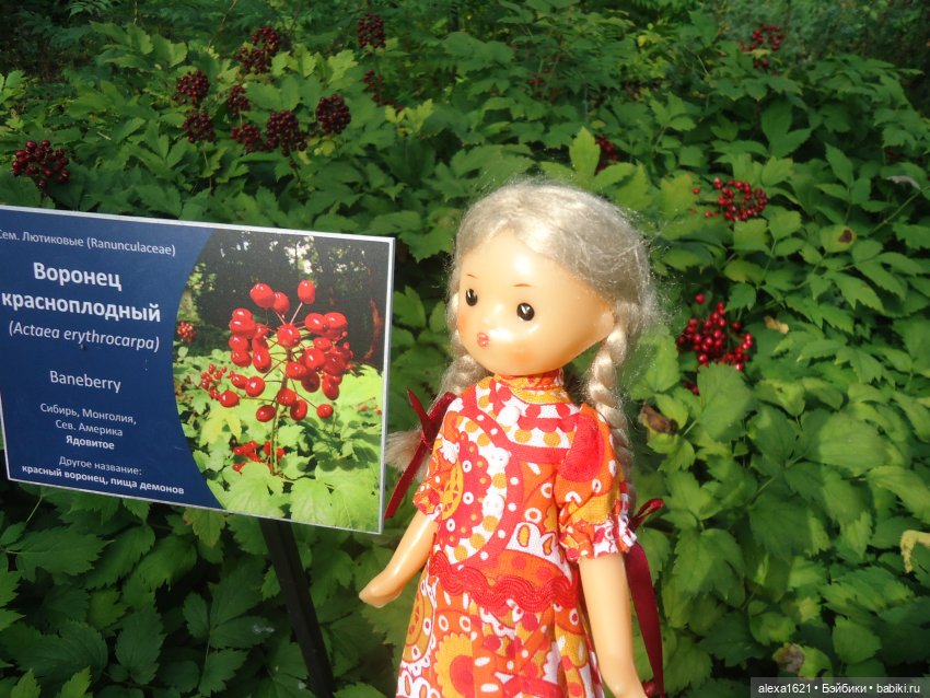 Вика в Томске - ярмарка, Инженерный дворик и Ботанический сад