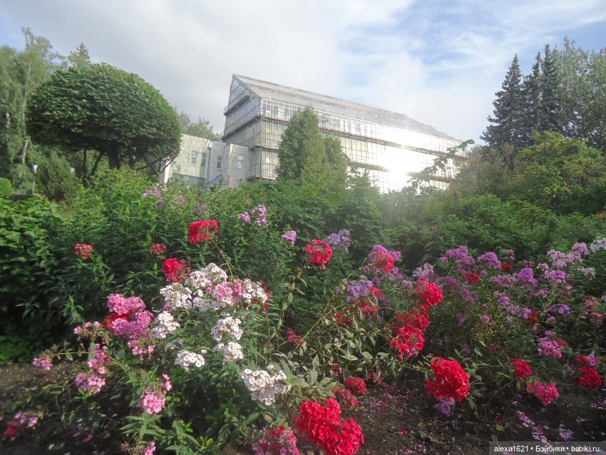 Вика в Томске - ярмарка, Инженерный дворик и Ботанический сад