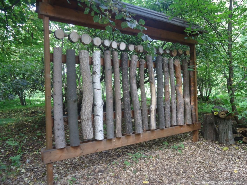 Вика в Томске - ярмарка, Инженерный дворик и Ботанический сад