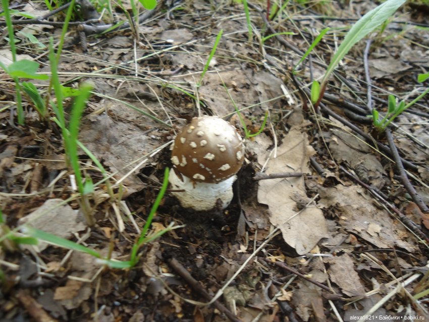 Ирочка - Агростанция — Советские винтажные куклы (СССР): Ленигрушка