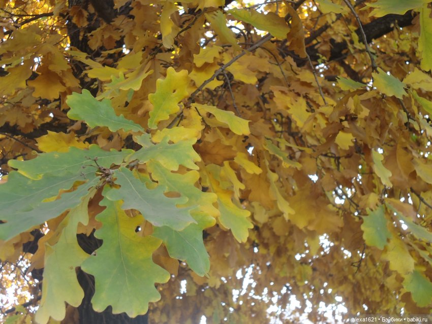 Малышка-звездочка - Перезагрузка