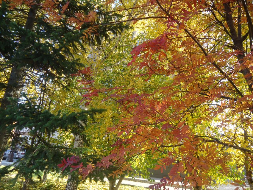 Малышка-звездочка - Перезагрузка