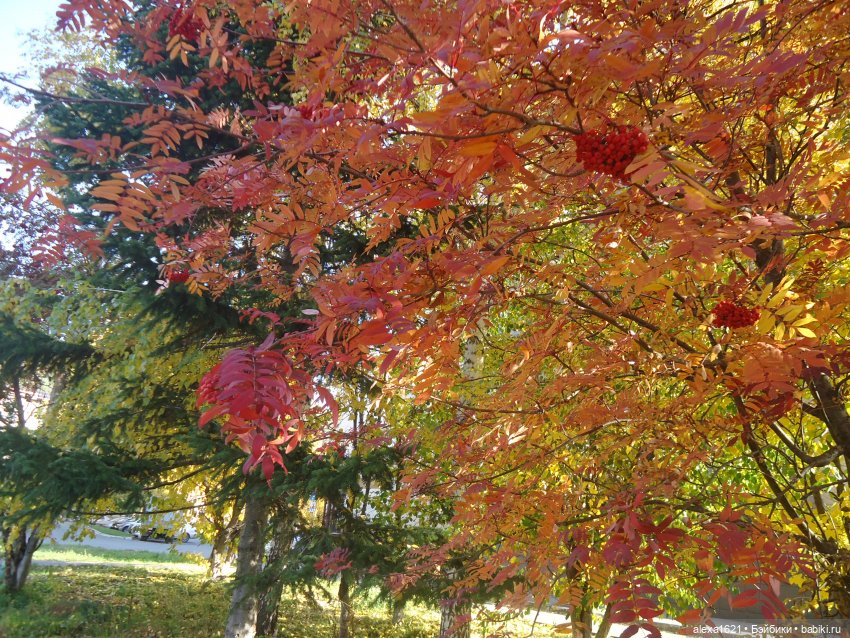 Малышка-звездочка - Перезагрузка