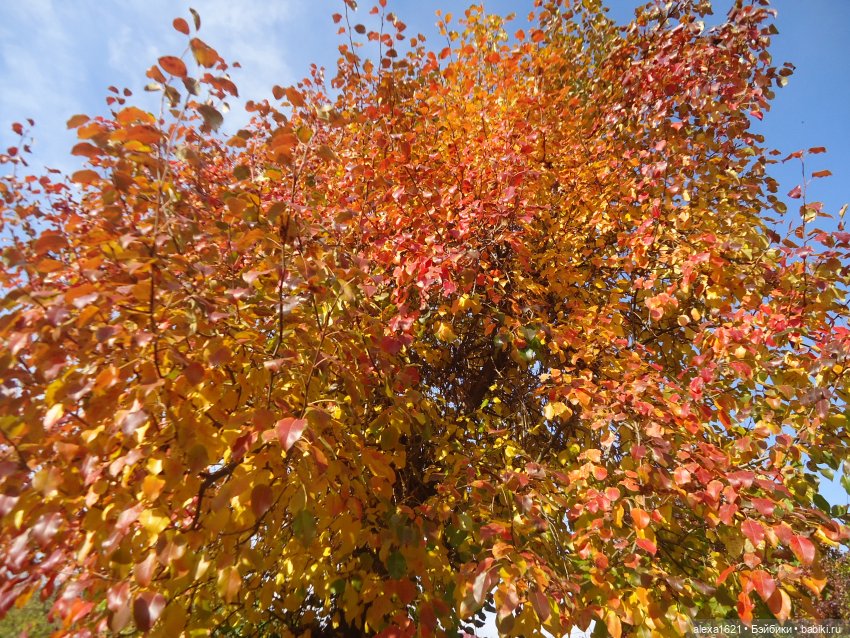 Малышка-звездочка - Перезагрузка