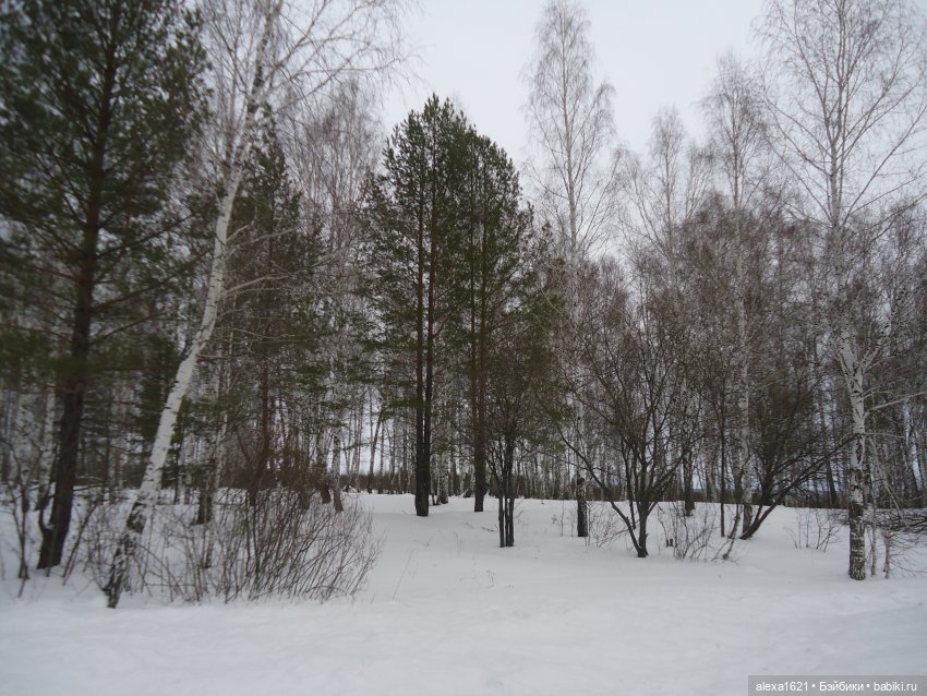 Снегурочка — Российские куклы Весна (фото 5)