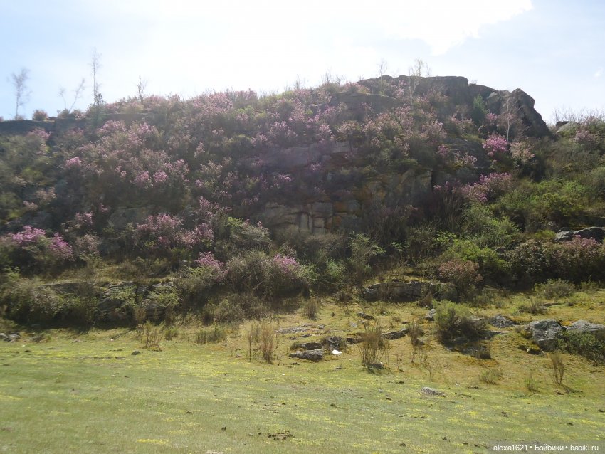 Юляшка на Гейзеровом озере