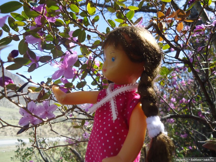 Ирочка, Гейзеровое озеро, маральник