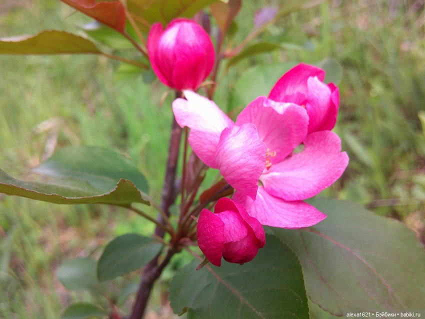 Машенька. Весна — Советские винтажные куклы (СССР): Ленигрушка