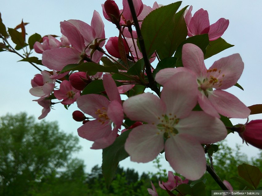 Валюша — Советские винтажные куклы (СССР): Ленигрушка (фото 10)
