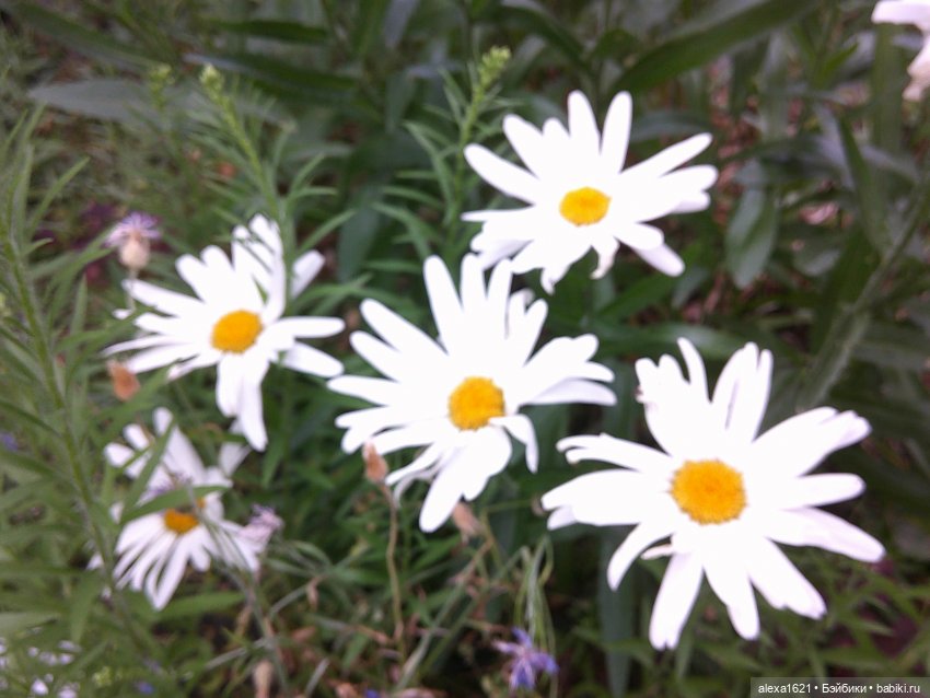 Наташа. Аским — Советские винтажные куклы (СССР): Ленигрушка