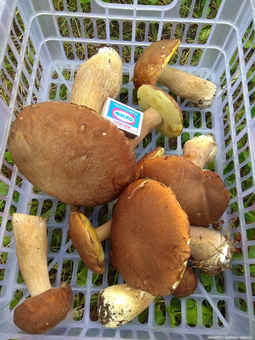 Наша грибная история — Советские винтажные куклы (СССР): Ленигрушка (фото 4)