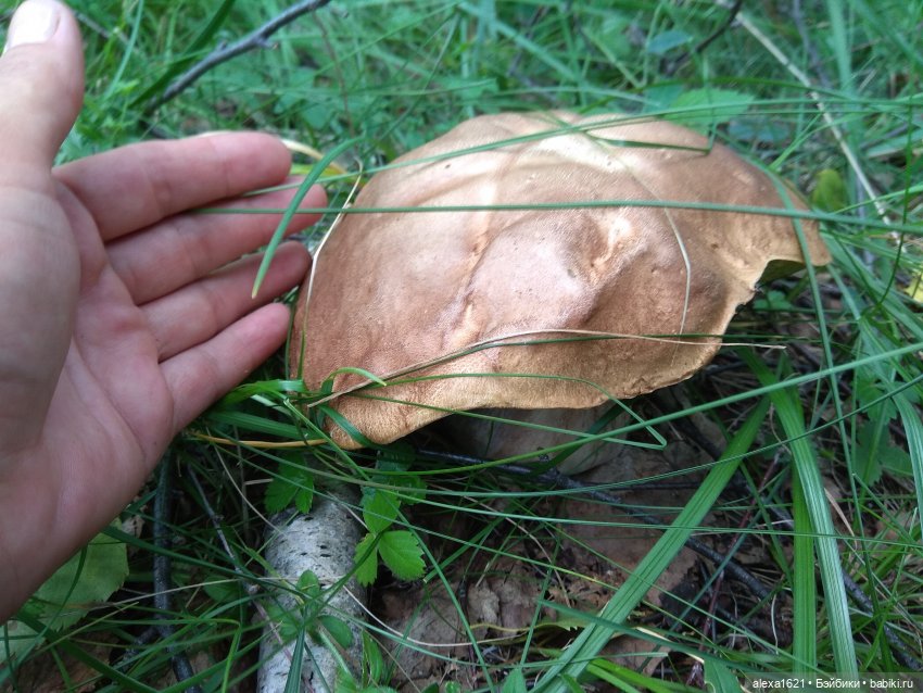 Наша грибная история — Советские винтажные куклы (СССР): Ленигрушка (фото 5)