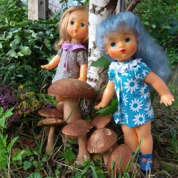 Наша грибная история