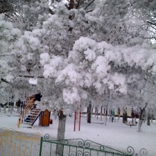 Новогодние каникулы в Питере .Что показать ребенку?