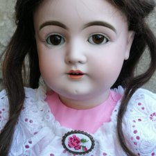 Мой кот в мешке