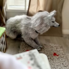 Каркасная собака