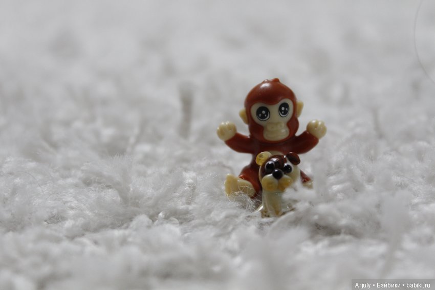 Прошли сквозь снега, уж не знаю где он их нашел весной, так и не признался)