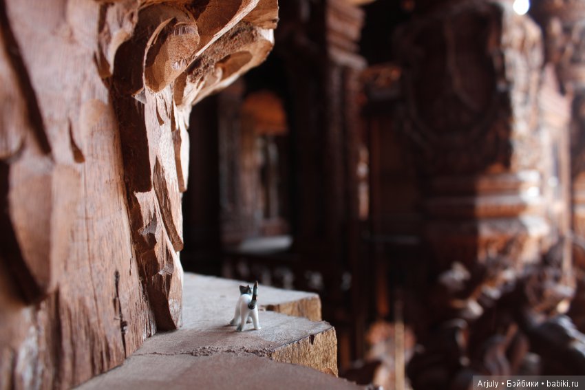 Тикет когда-то был первопроходцем в исследовании заморских берегов