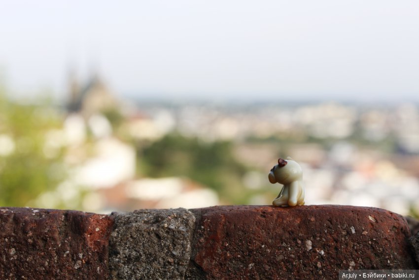 Поразмыслили о важных вещах, смотря на город