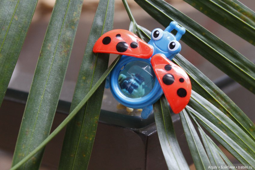 Исследовали местную фауну