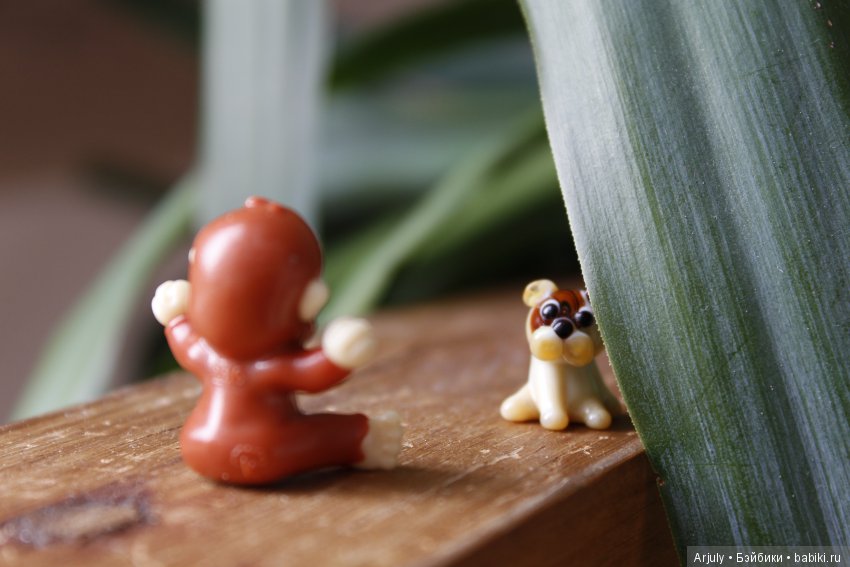 Познакомились с аборигенами