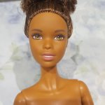 Голова йоги Аши