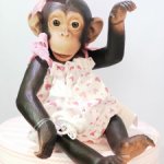 Реалистичные шимпанзе от ASI