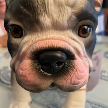 Анималистичные куклы-животные