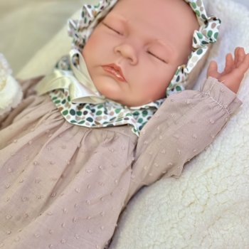 Новая коллекция ASI 2024