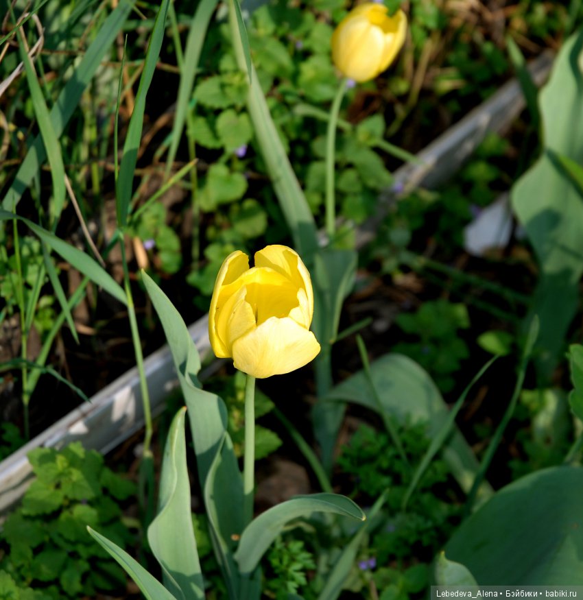 Весенняя прогулка в новом наряде