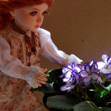 Марта-садовод