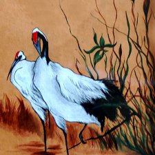 Рисунки на коже