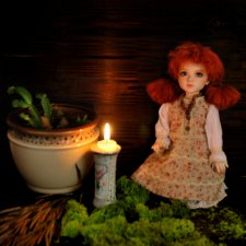 Вечерние посиделки