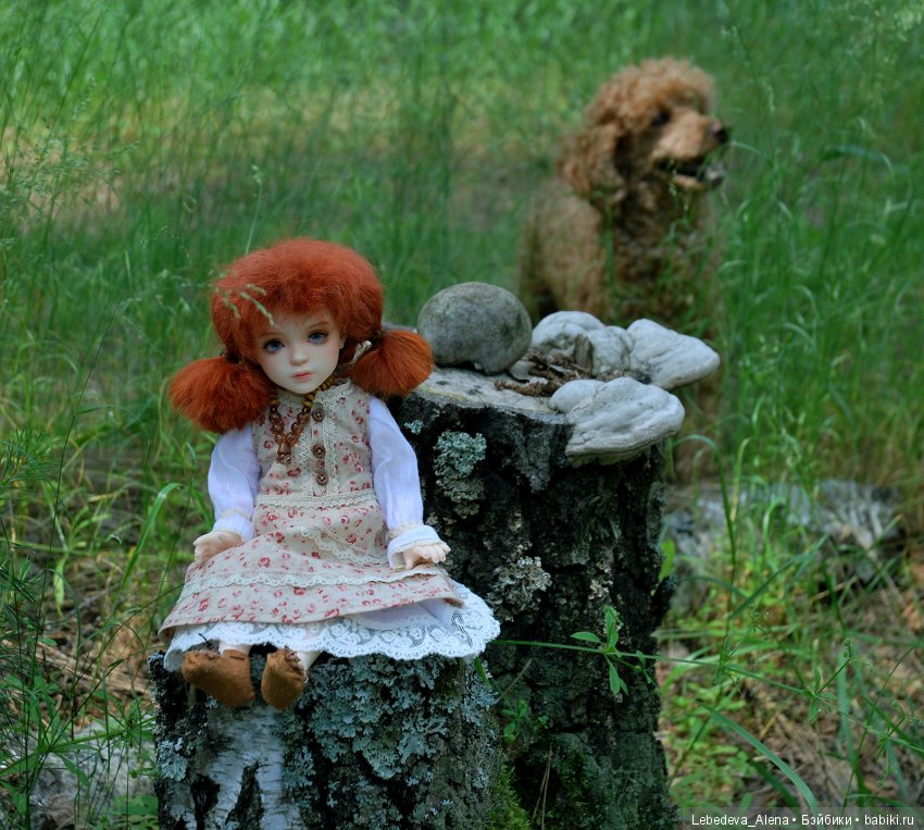 Лесная прогулка — Куклы Iplehouse (Иплхаус): BJD (БЖД) (фото 10)