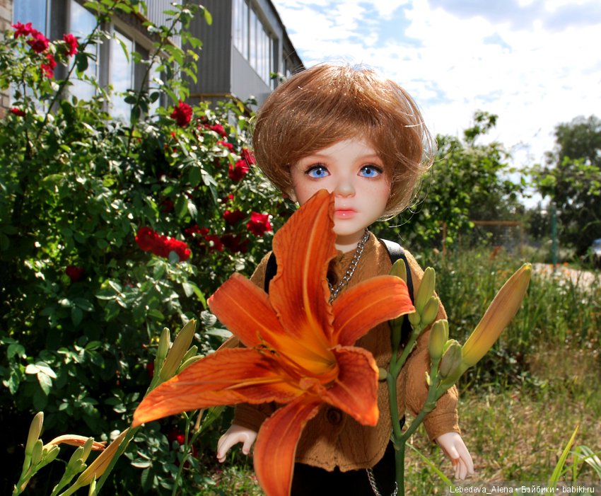 Перевоплощение — Куклы Iplehouse (Иплхаус): BJD (БЖД) (фото 3)