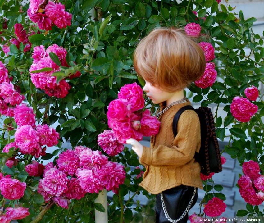 Перевоплощение — Куклы Iplehouse (Иплхаус): BJD (БЖД) (фото 9)