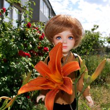 Перевоплощение