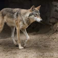 "Искаженная реальность". Рассказ, фэнтези. Часть 1