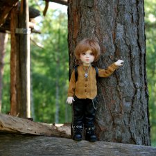 Лесными тропами