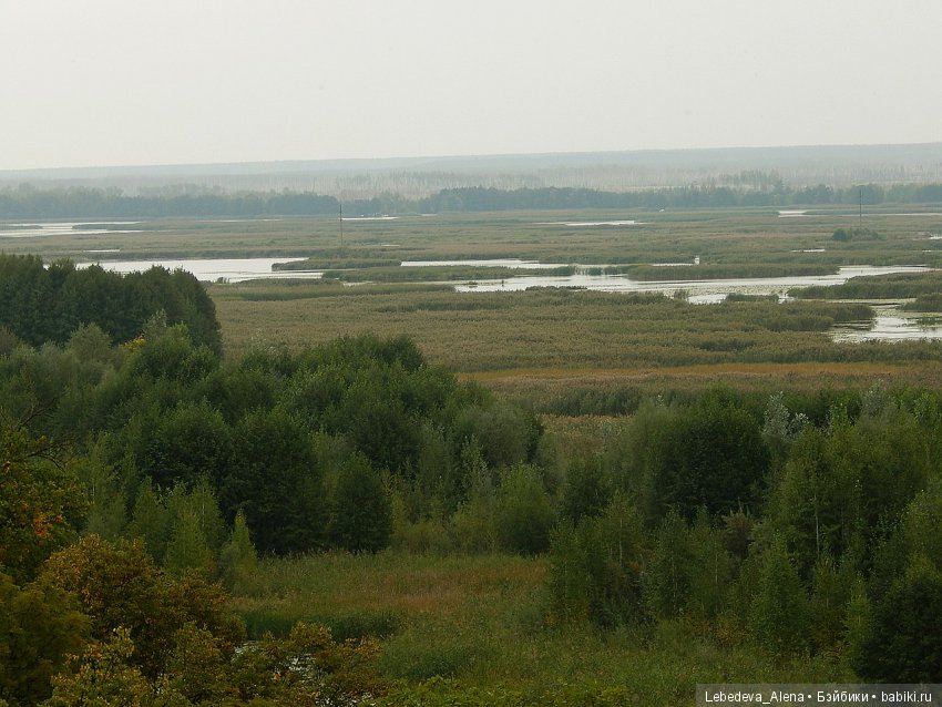 Осенний Воронеж — Болталка и разговоры обо всем: жизнь (фото 4)