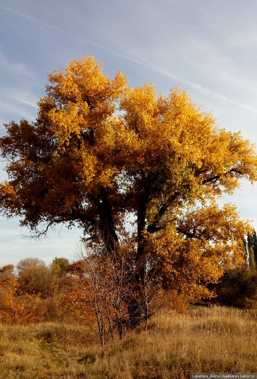 Осенний Воронеж — Болталка и разговоры обо всем: жизнь (фото 10)