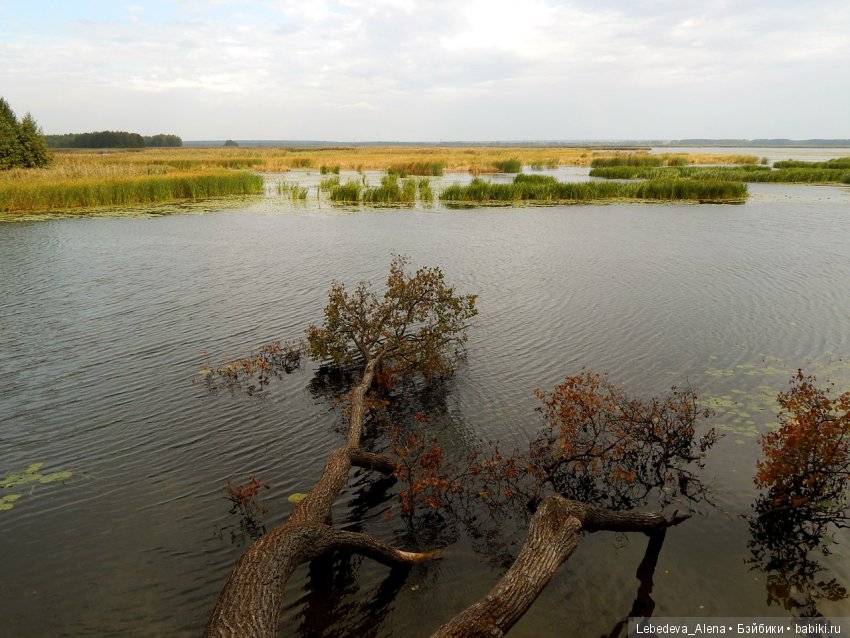 Осенний Воронеж — Болталка и разговоры обо всем: жизнь (фото 5)