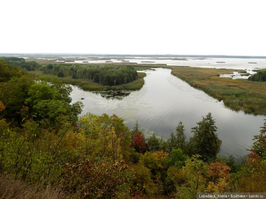 Осенний Воронеж — Болталка и разговоры обо всем: жизнь (фото 3)