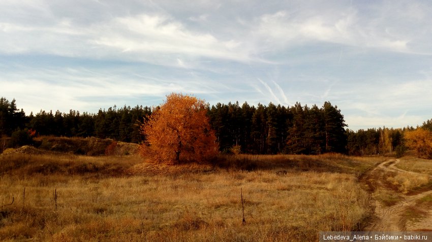 Осенний Воронеж — Болталка и разговоры обо всем: жизнь