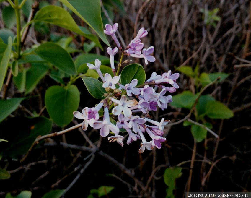 Осенний Воронеж — Болталка и разговоры обо всем: жизнь